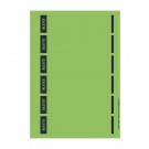 Ordnerrückenschild schmal/kurz, Grün